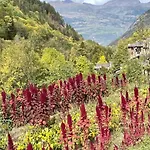 Casa Chevrere Introd