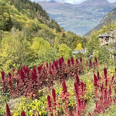 Casa Chevrere Introd